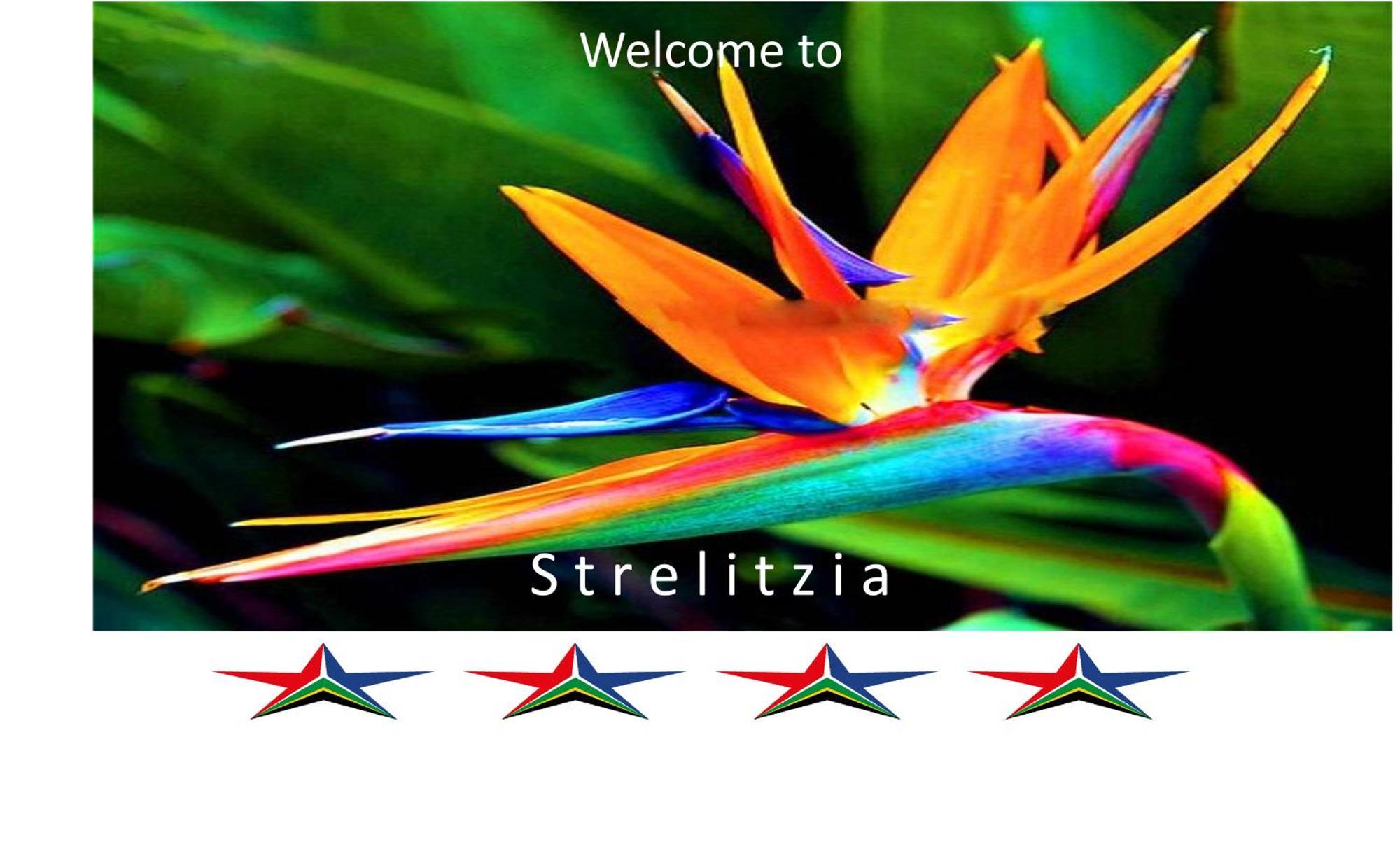 Strelitzia - 4 Star Self-Catering Διαμέρισμα Κέιπ Τάουν Εξωτερικό φωτογραφία